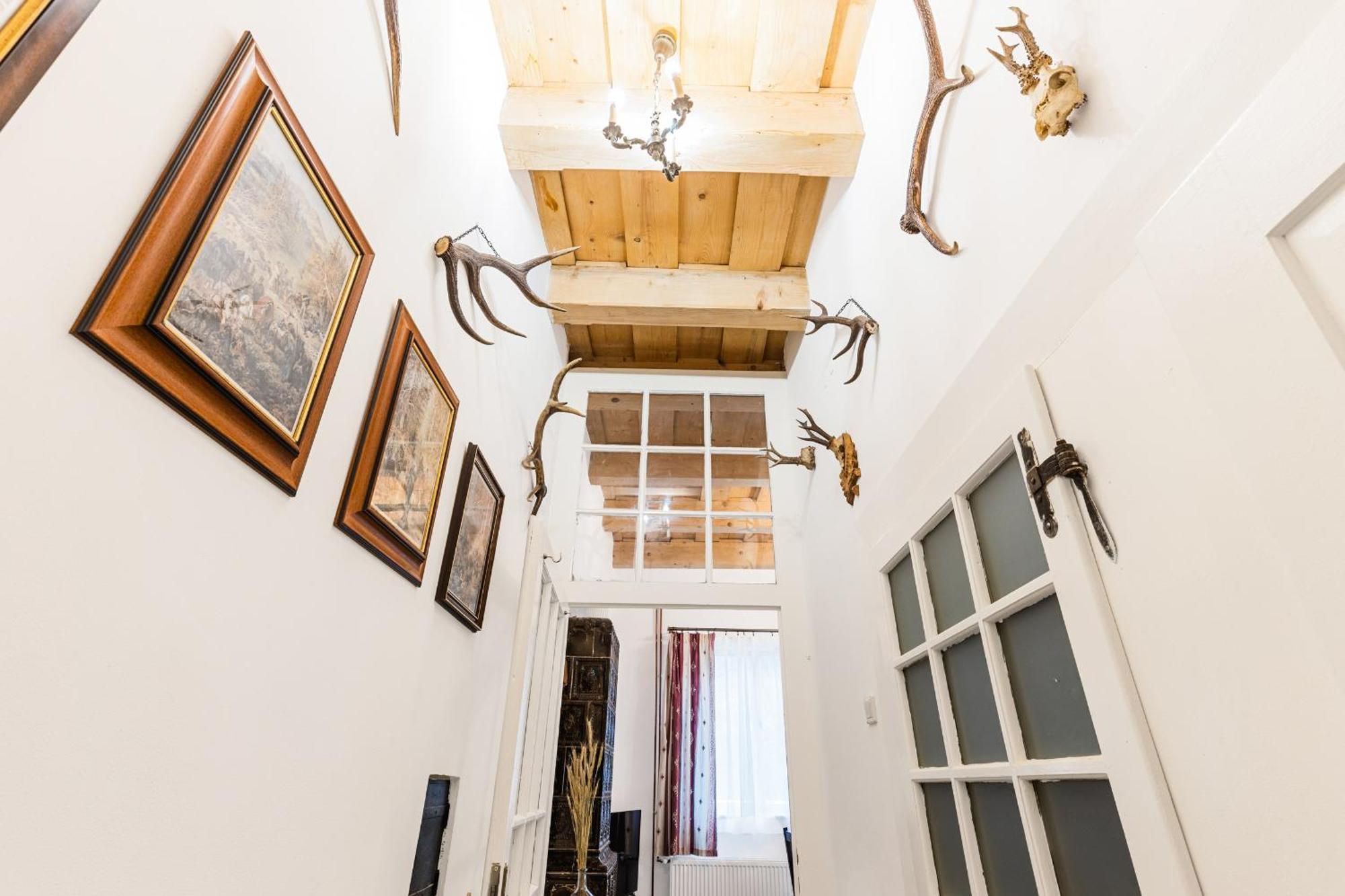 Sovi Dom- Historicke Apartmany Z 19 Storocia, 4Km Od Banskej Stiavnice Svaty Anton Экстерьер фото